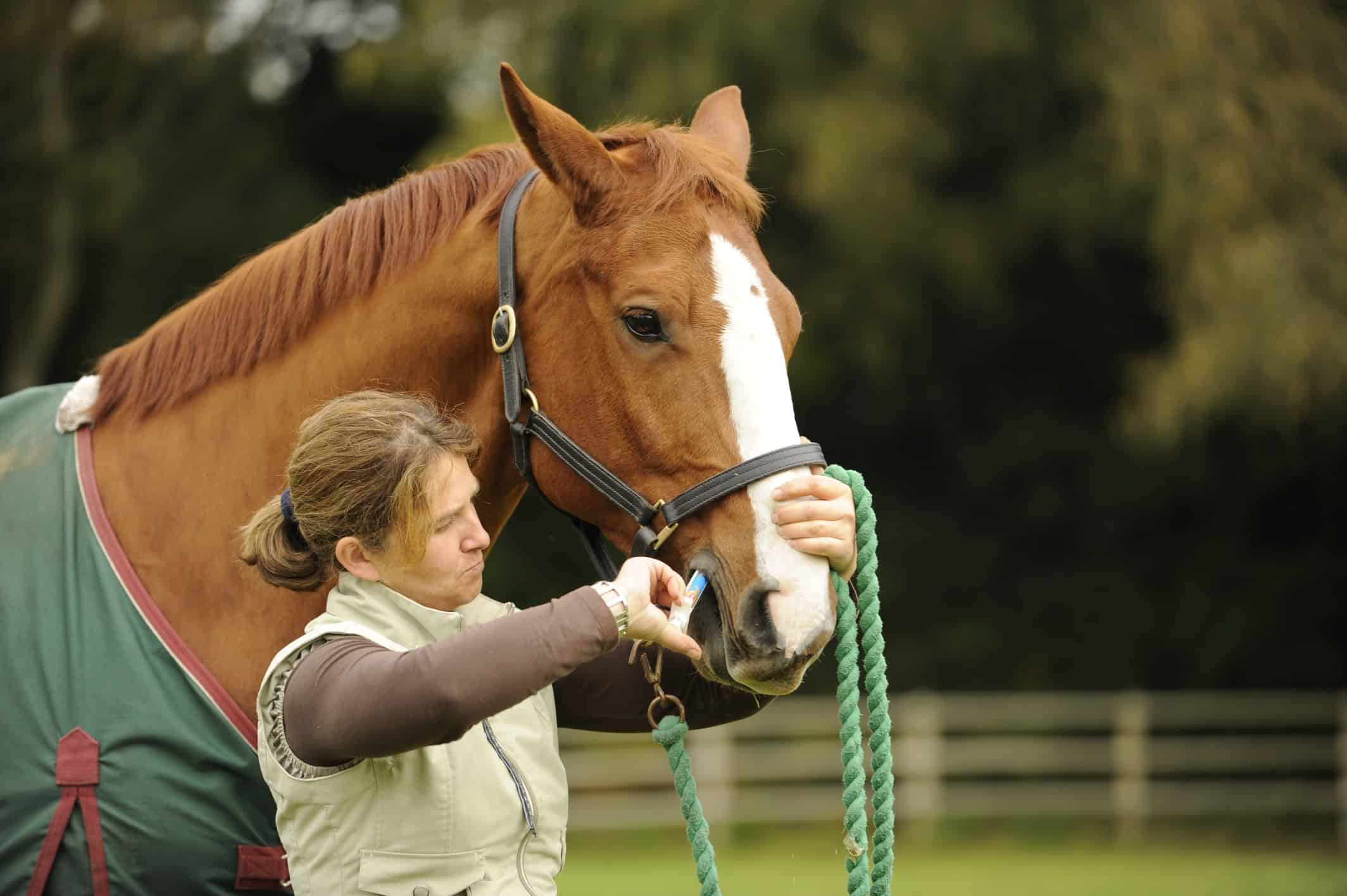 Worm control, season by season | Horse and Rider