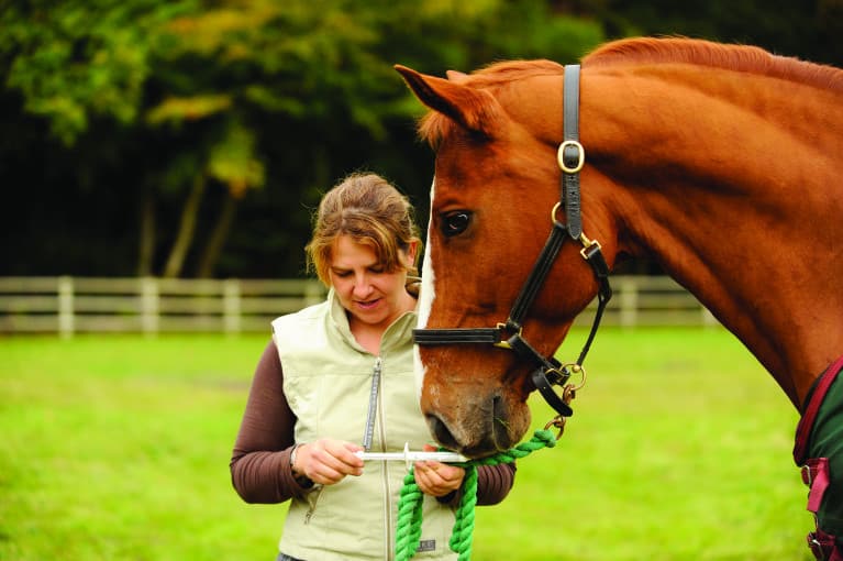Worming myths busted | Horse and Rider
