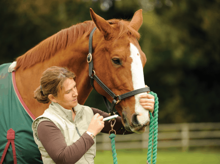 Coping with Cushing’s disease | PPID | Horse and Rider