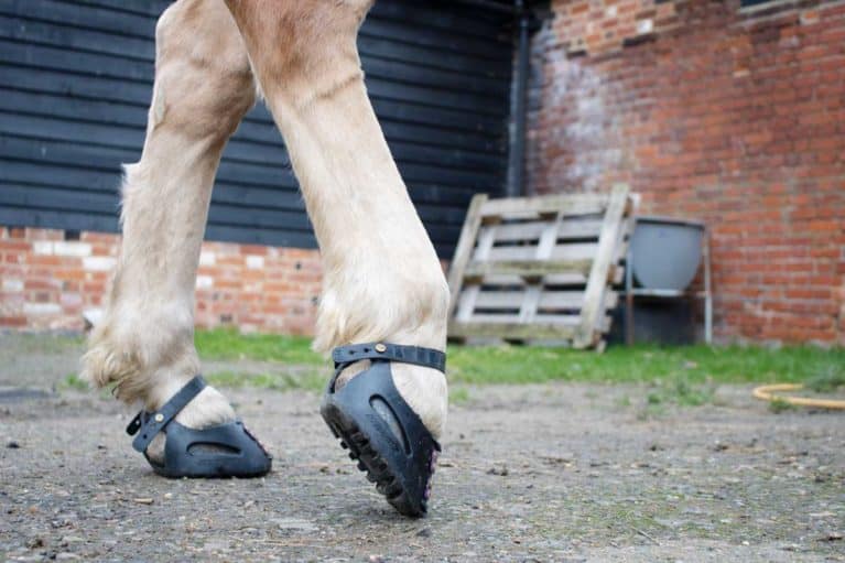 best hoof boots for endurance riding