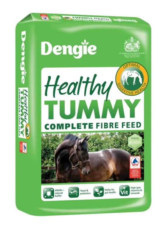 Dengie Healthy Tummy horse fibre feed