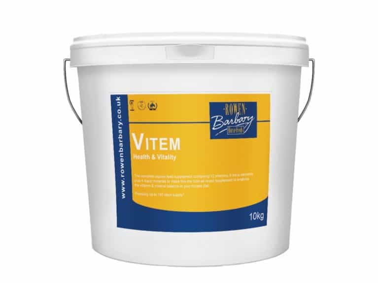 Vitem daily horse supplement from Rowen Barbary