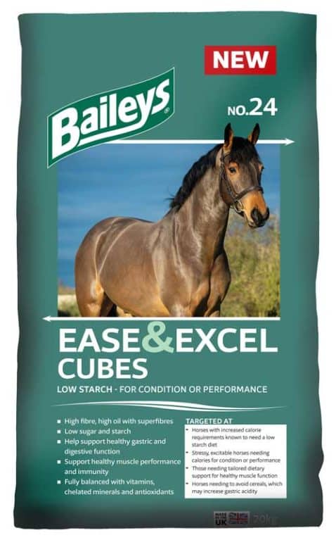 Baileys Ease & Excel Cubes