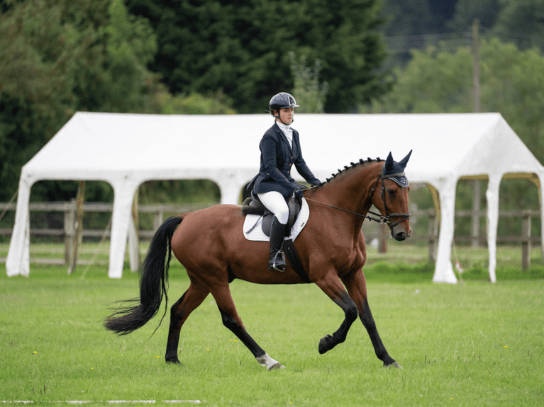 Cavalleria Toscana Show Coat In Black - I-46 — 2nd Round Equestrian