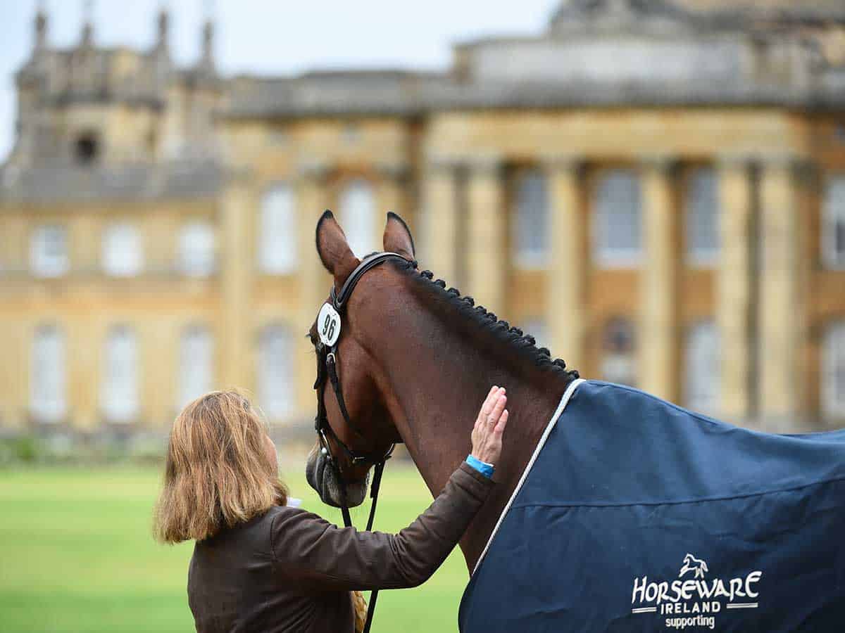 The countdown to Blenheim Palace International Horse Trials is on