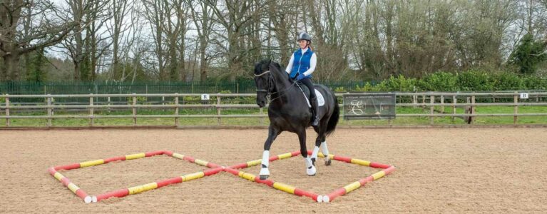 767px x 300px - Horse & Rider TV | Riding and training videos | Horse and Rider